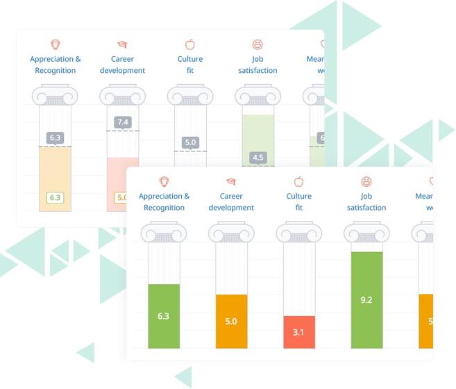 Satchel Pulse Culture, Climate and Equity dashboard