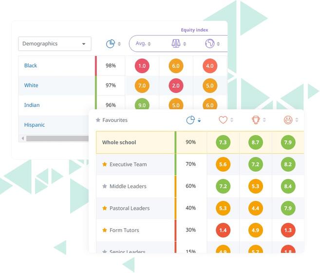 Satchel Pulse Culture, Climate and Equity group reporting